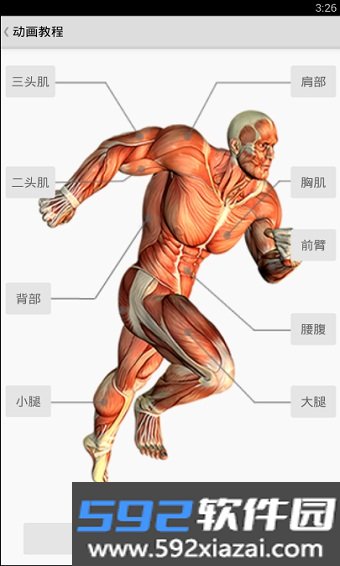 健身宝典最新版截图3