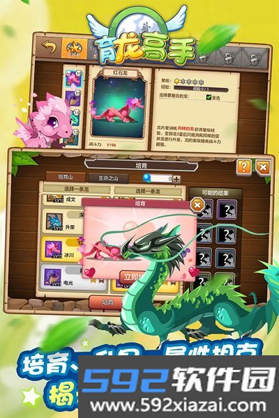 育龙高手vivo安卓版截图1