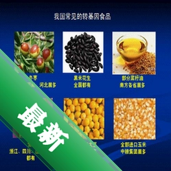 乐器大师