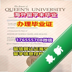 轻视解析