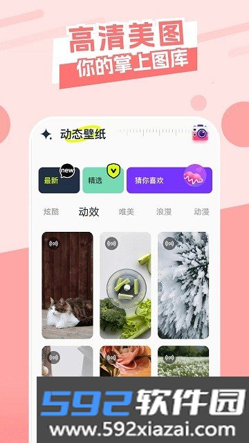 主题库顺来app手机版截图2